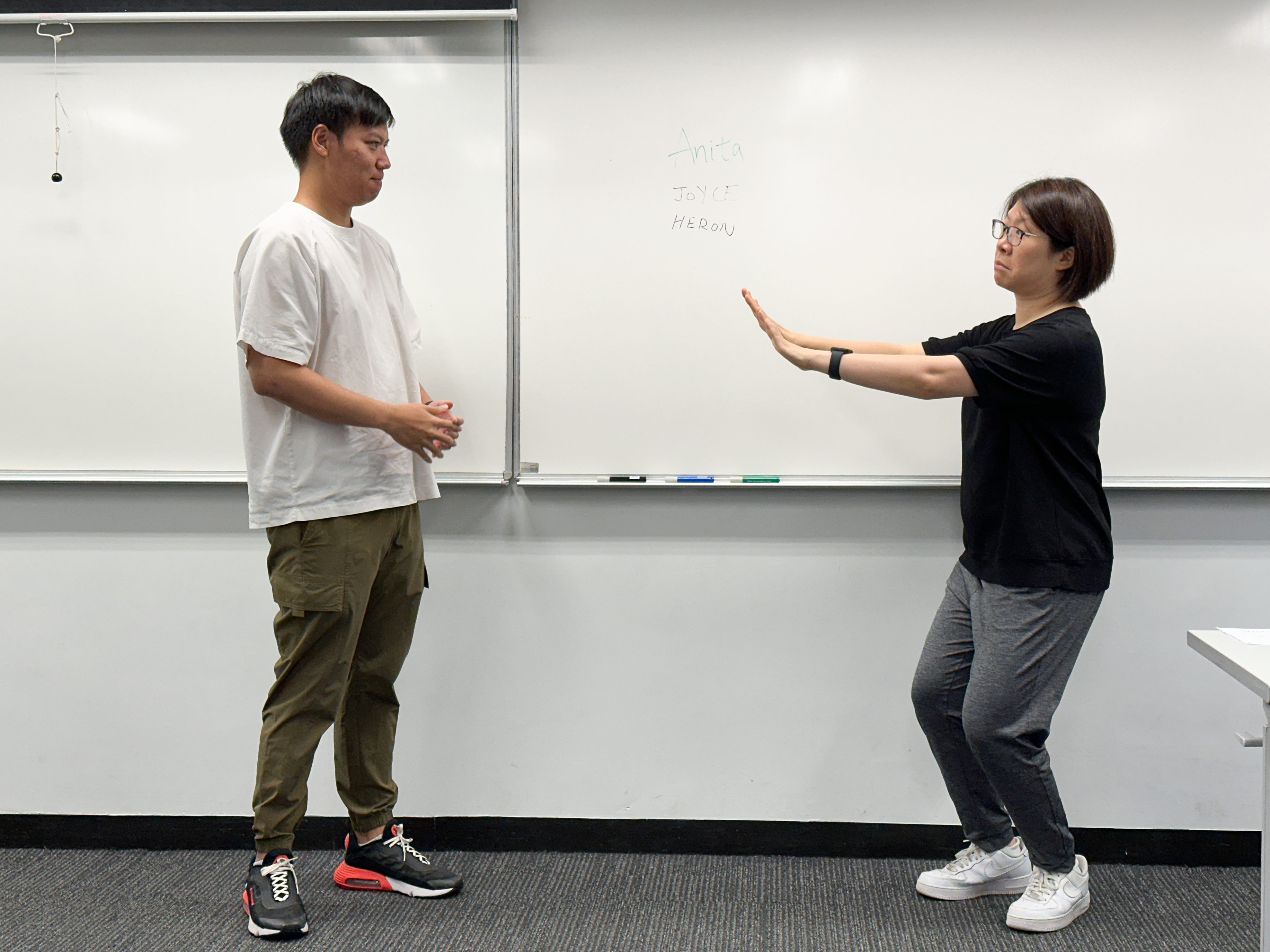 Sign Language: Understanding Diverse Needs in Workplace and Classroom